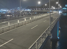 広島わんがんカメラ 撮影画像